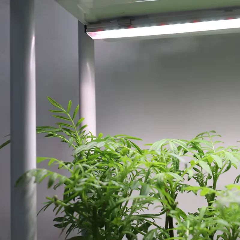 Smart Garden System - 이동식 수직형 3단 자동 급수 스마트