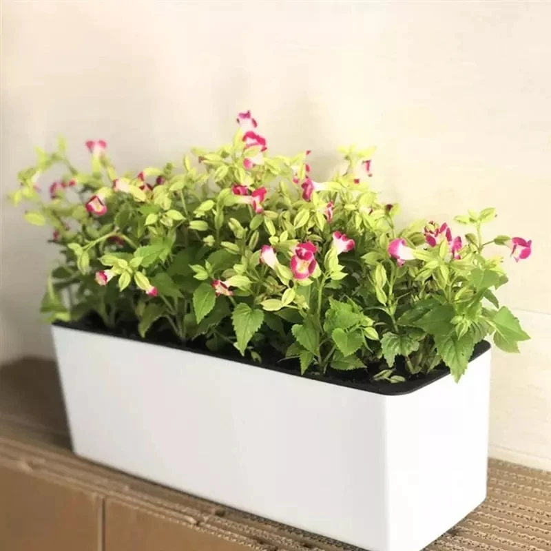Hydroponic Grow Pod - 직사각형 게으른 꽃 냄비 화분 수경