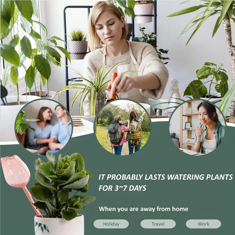 핑크 튤립 식물 물주기 볼 자동 물주기 볼 및 자동 급 - Plant Sensor 리뷰 및 가격