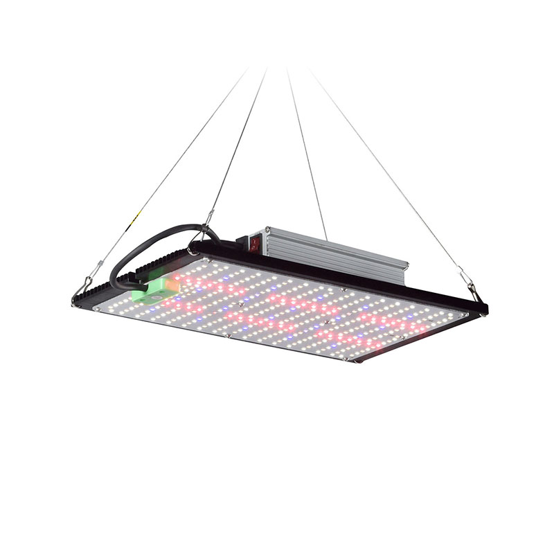 LED 퀀텀보드 식물 재배 조명, 실내 온실 채소 및  - Grow Light Led 리뷰 및 가격