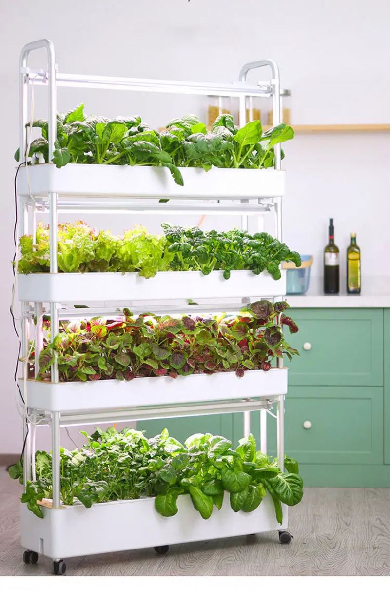 가정용 수직 수경 재배 시스템, 실내 온실, 토양 없이 - Hydroponic Tower 리뷰 및 가격