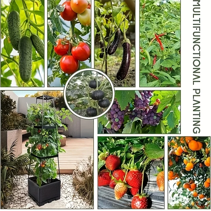 자체 급수 시스템이 장착된 토마토 재배 상자와 지지대가 - Hydroponic Tower 리뷰 및 가격