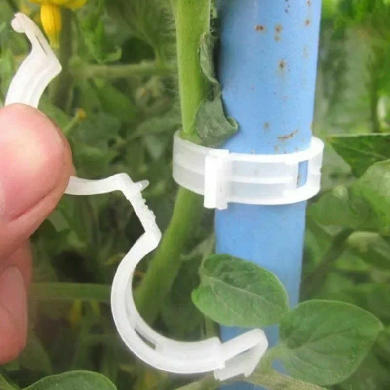 식물 지지 클립 재사용 가능한 플라스틱 덩굴 고정 클립 - Smart Garden Kit 리뷰 및 가격