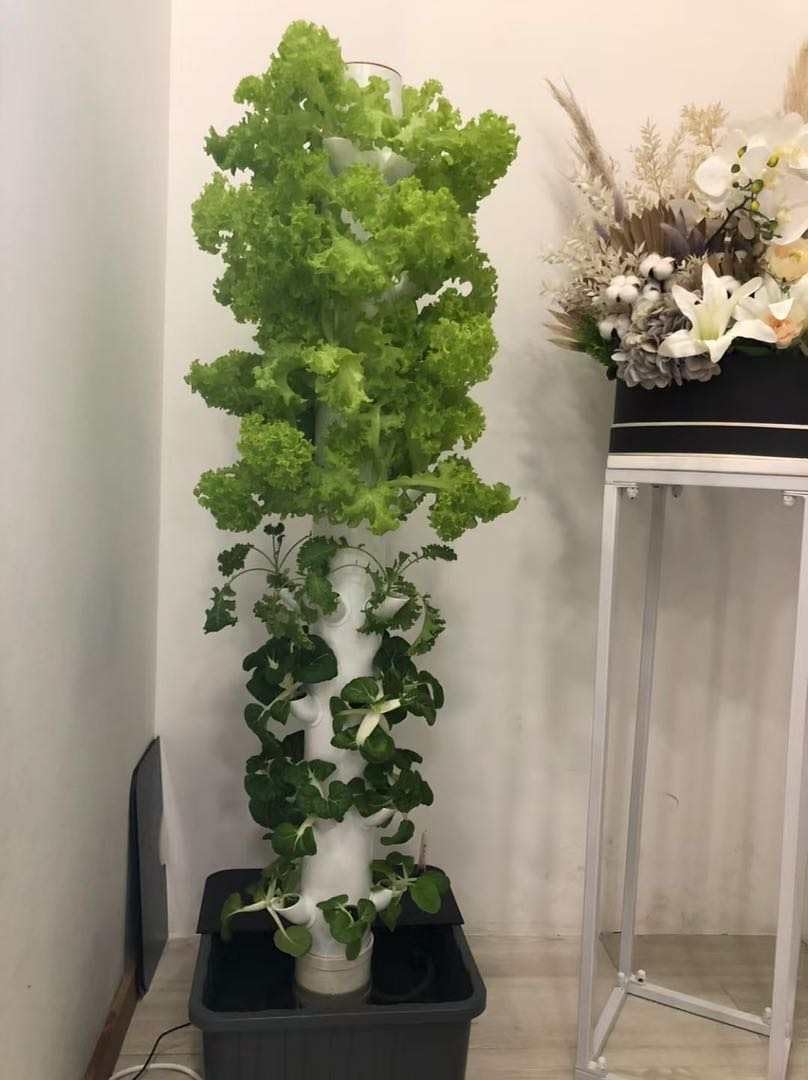 수직 수경 재배 타워 에어로포닉 타워 (허브, 과일 및 - Hydroponic Tower 리뷰 및 가격