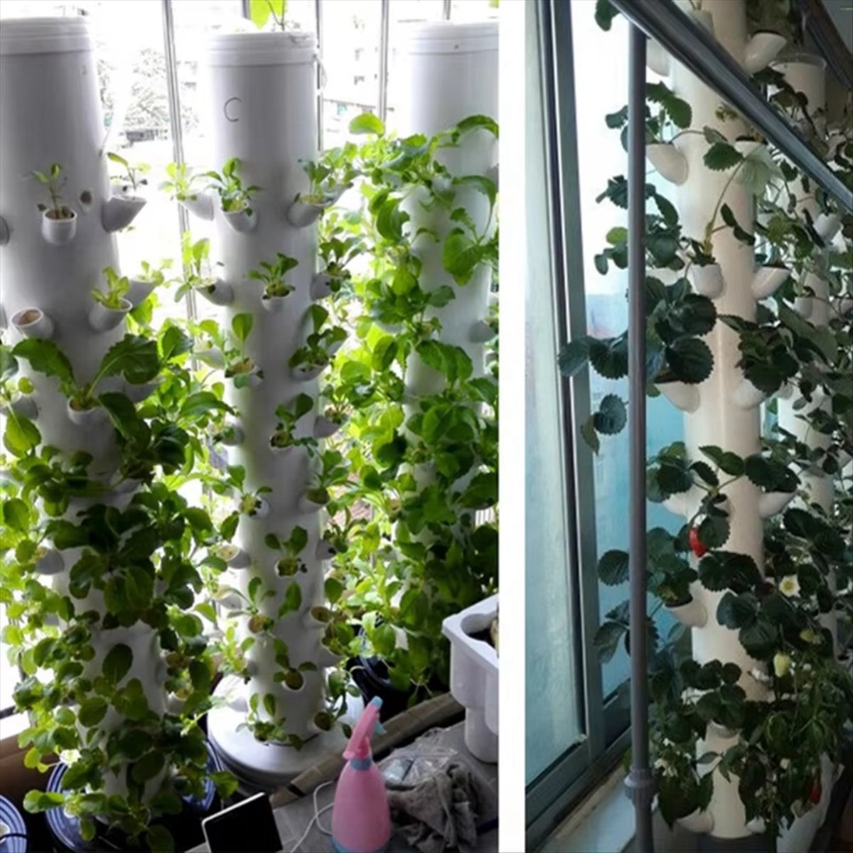 수경재배 수직 타워 컨테이너 DIY 수경재배 컵 꽃 화 - Hydroponic Tower 리뷰 및 가격