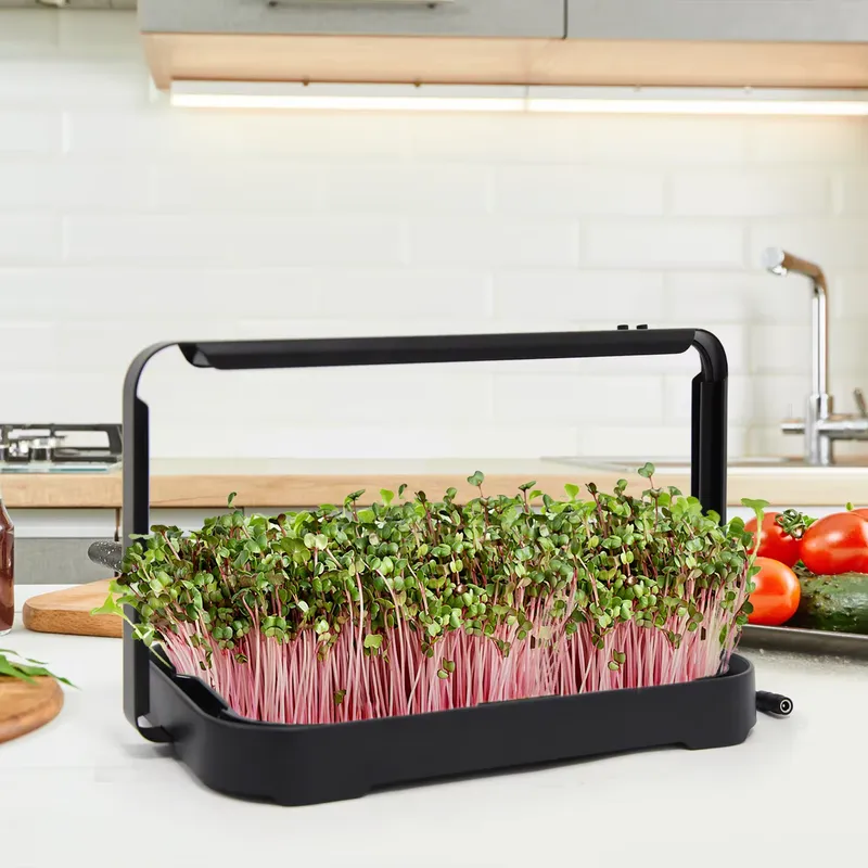 수경재배 트레이 실내 마이크로그린 씨앗 새싹 재배 시스 - Smart Garden System 리뷰 및 가격