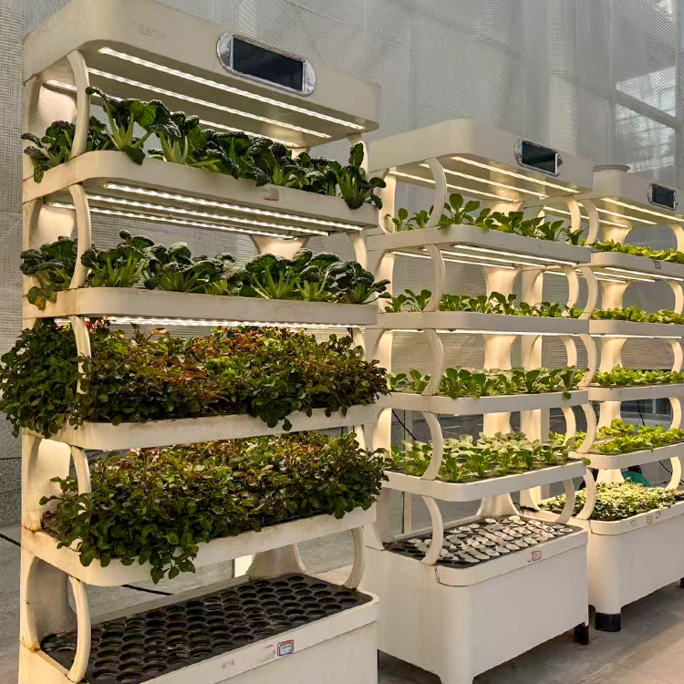 스마트 실내 정원용 화분 - LED 재배등이 장착된 스 - Smart Garden System 리뷰 및 가격